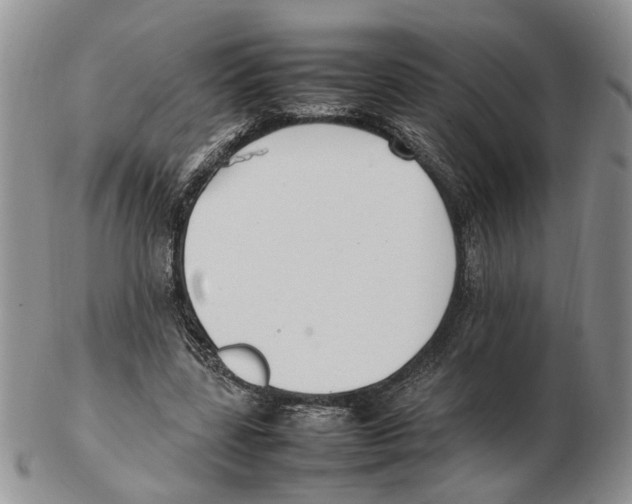X0000102250539200808221355