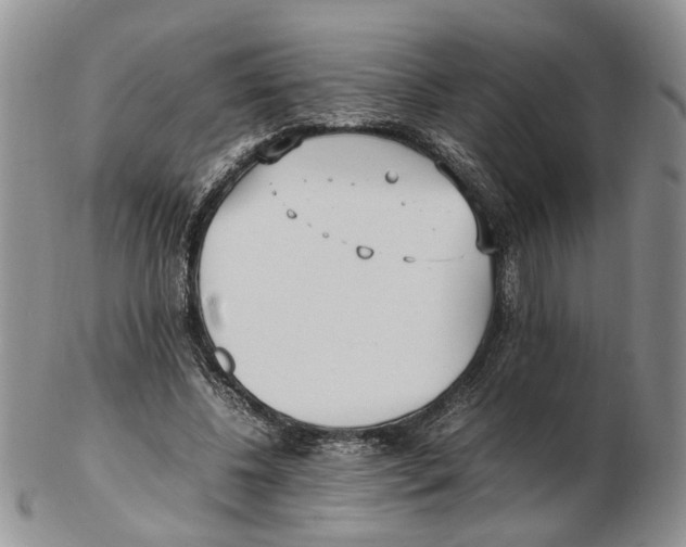 X0000102250540200808221355