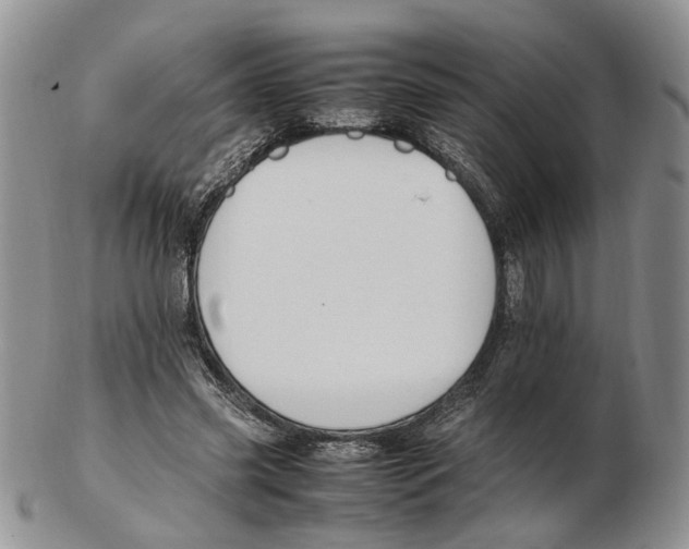 X0000102250541200808221355