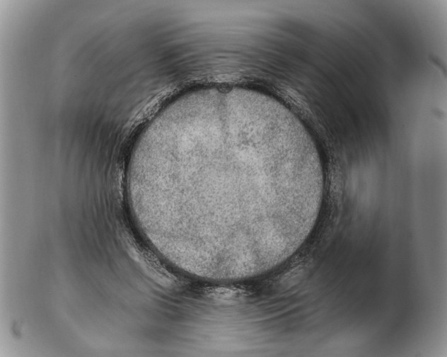 X0000102250542200808221355