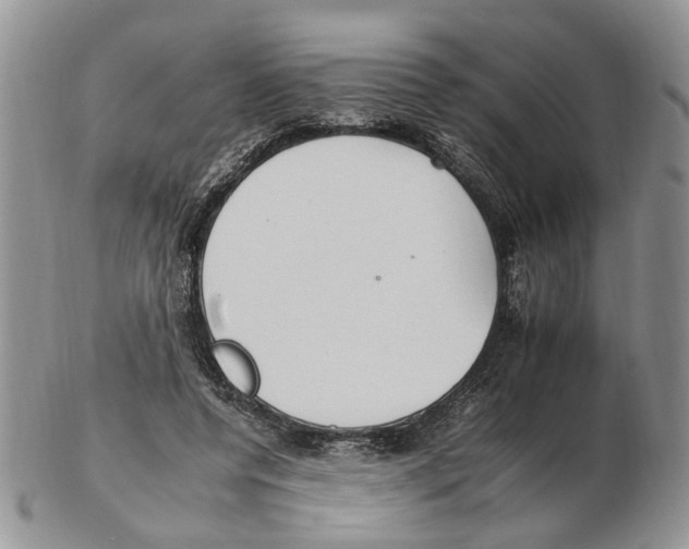 X0000102250544200808221355