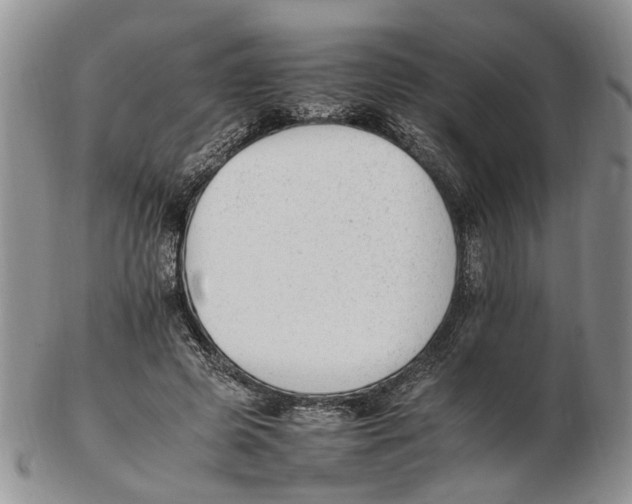 X0000102250545200808221355