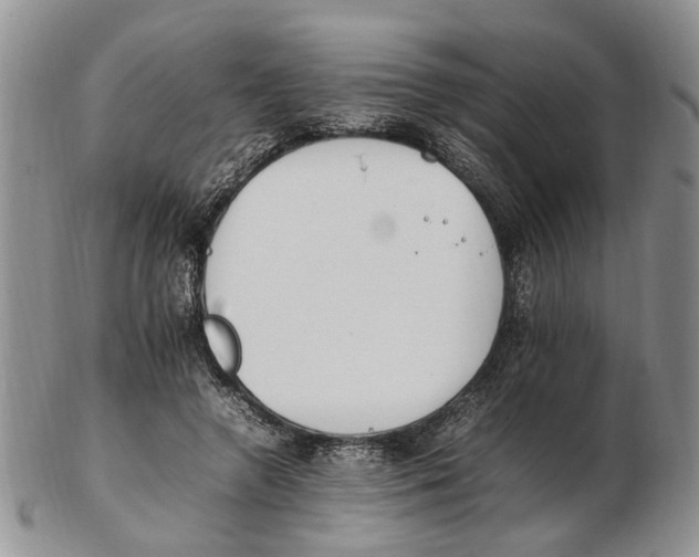 X0000102250546200808221355