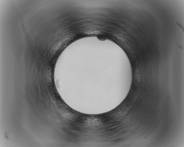 X0000102250547200808221355