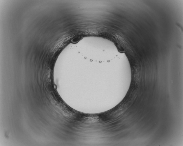 X0000102250548200808221355