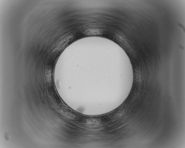 X0000102250549200808221355