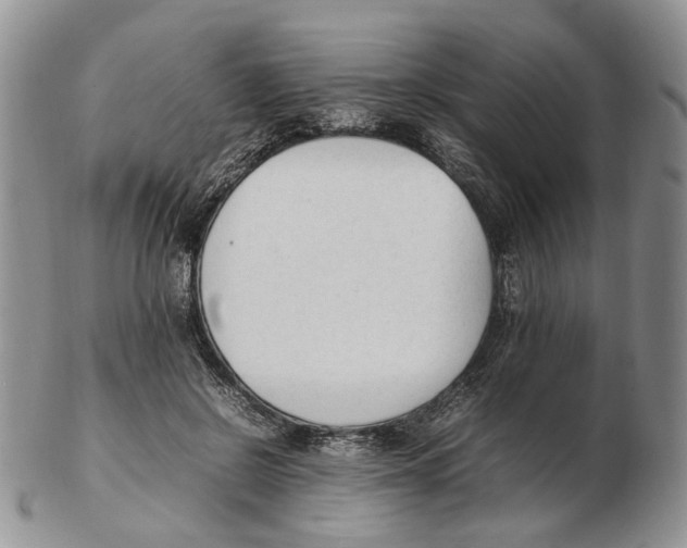 X0000102250550200808221355