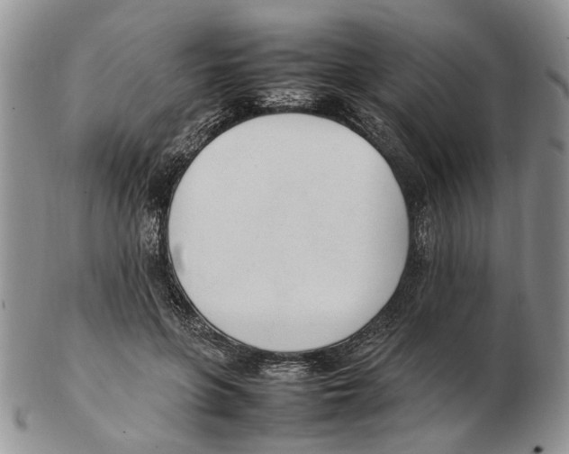 X0000102250551200808221355