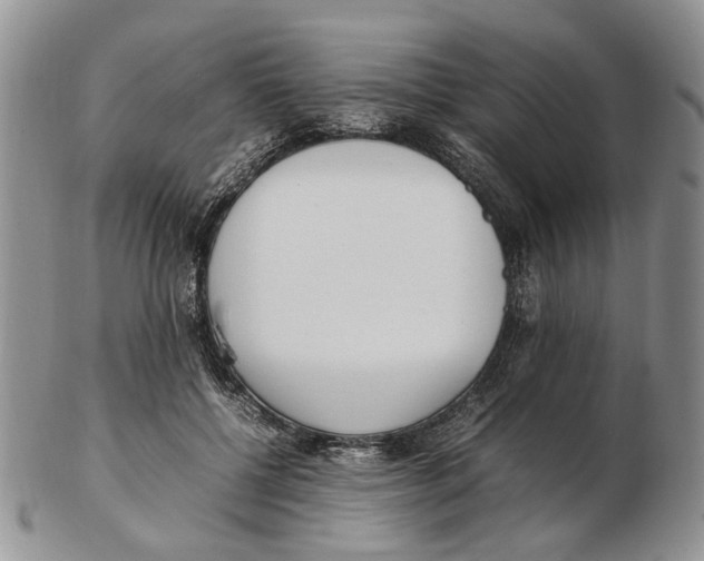 X0000102250552200808221355