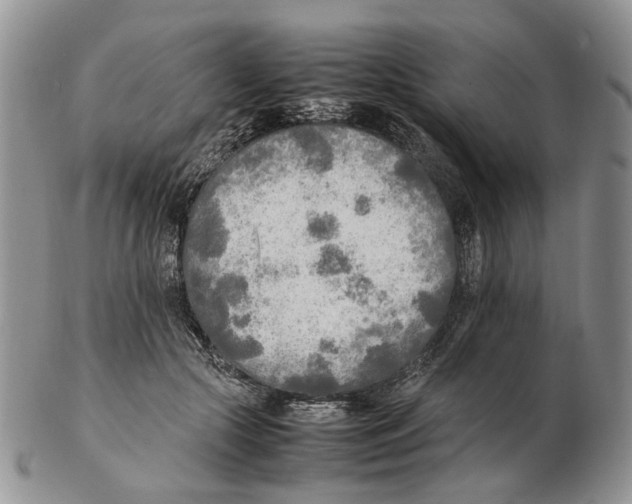 X0000102250553200808221355