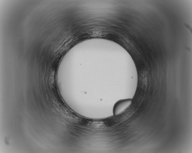 X0000102250554200808221355