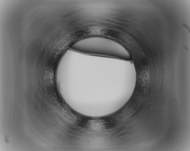 X0000102250556200808221355