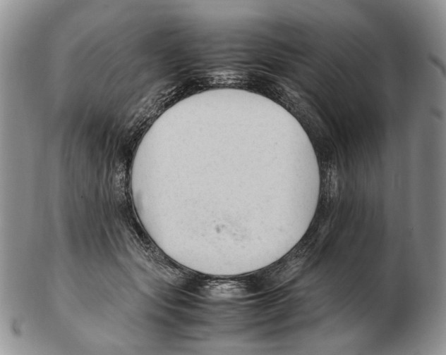 X0000102250557200808221355