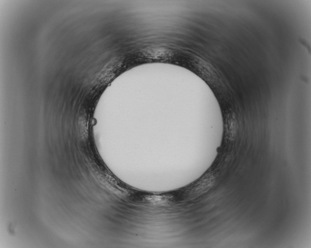 X0000102250558200808221355