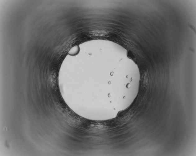 X0000102250559200808221355