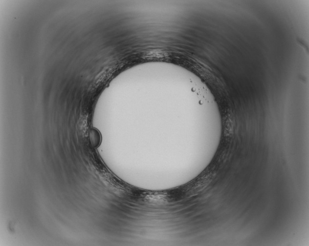 X0000102250560200808221355