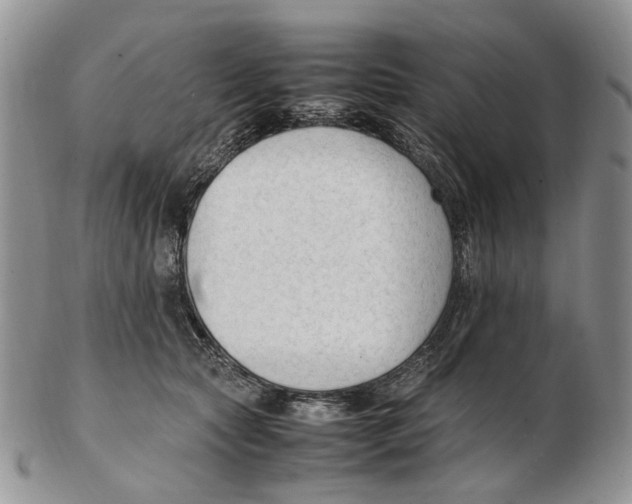 X0000102250561200808221355