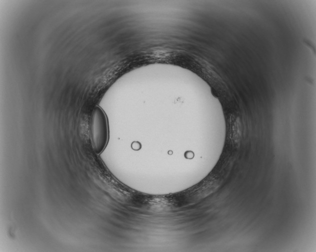 X0000102250562200808221355