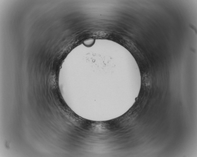 X0000102250564200808221355