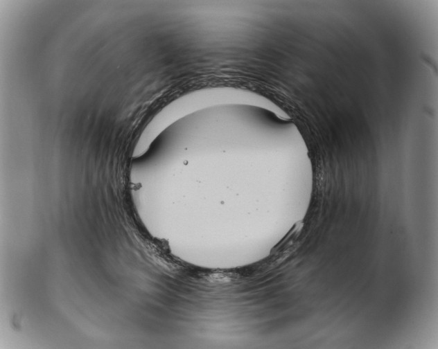 X0000102250566200808221355