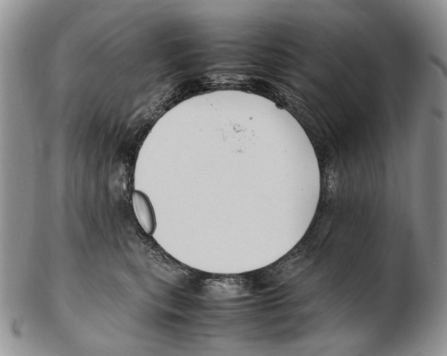 X0000102250567200808221355