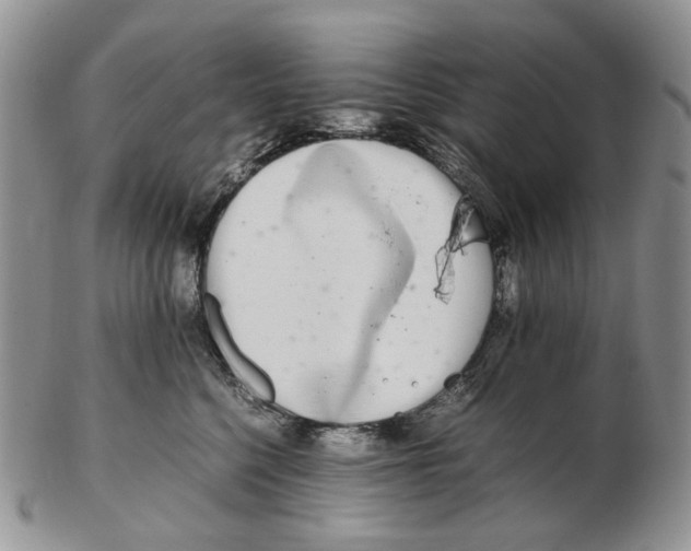 X0000102250568200808221355