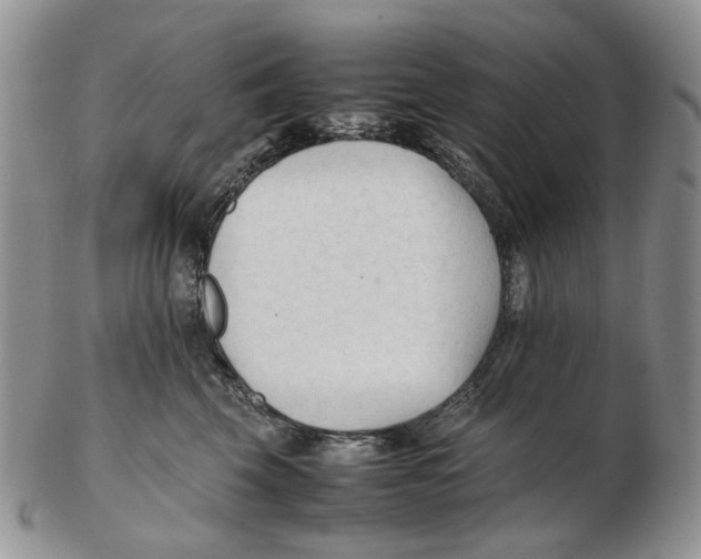 X0000102250569200808221355