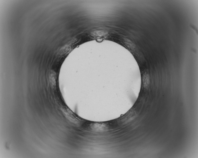 X0000102250570200808221355