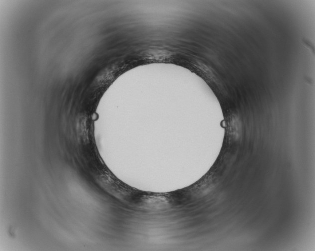 X0000102250572200808221355