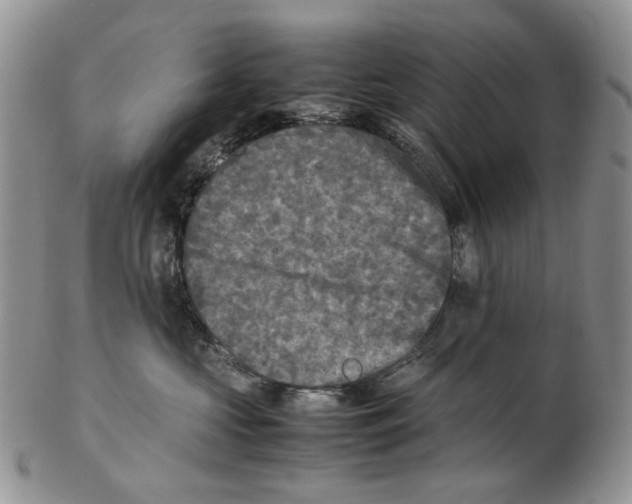 X0000102250573200808221355