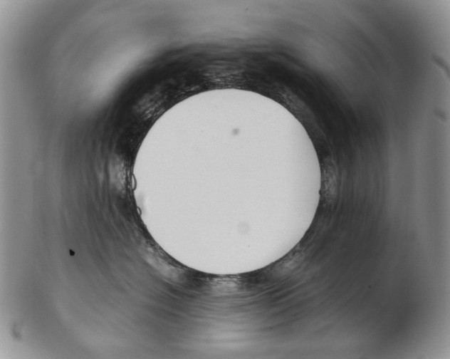 X0000102250574200808221355