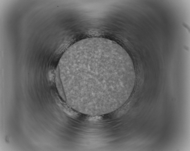 X0000102250576200808221355