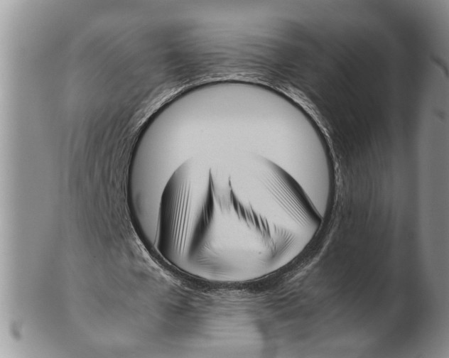 X0000102250577200808221355