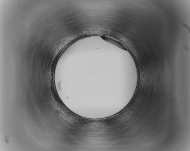 X0000102250578200808221355