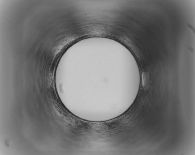 X0000102250579200808221355