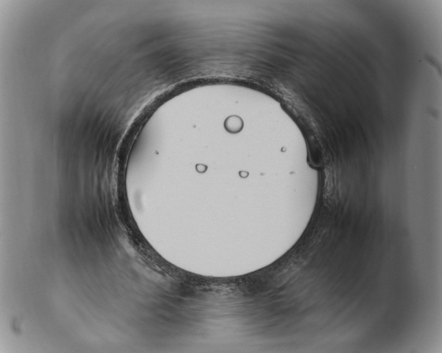 X0000102250580200808221355