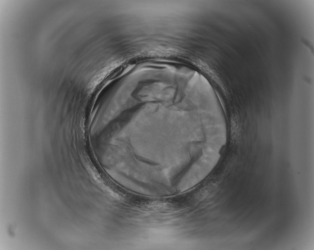 X0000102250581200808221355