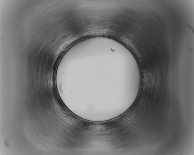 X0000102250582200808221355