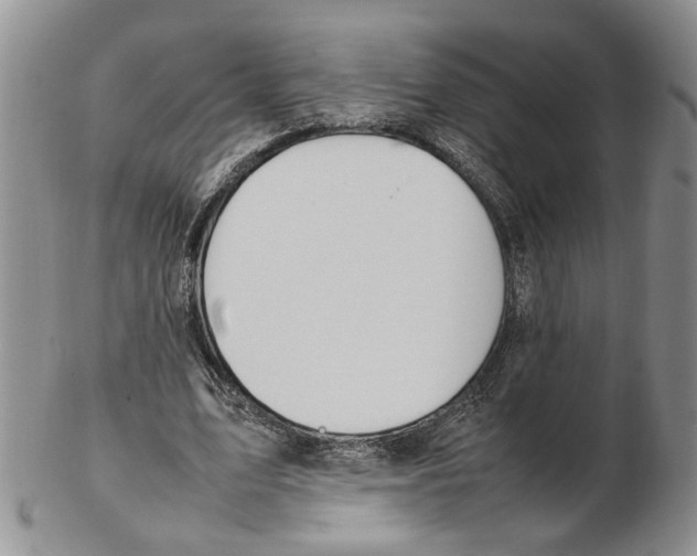 X0000102250583200808221355