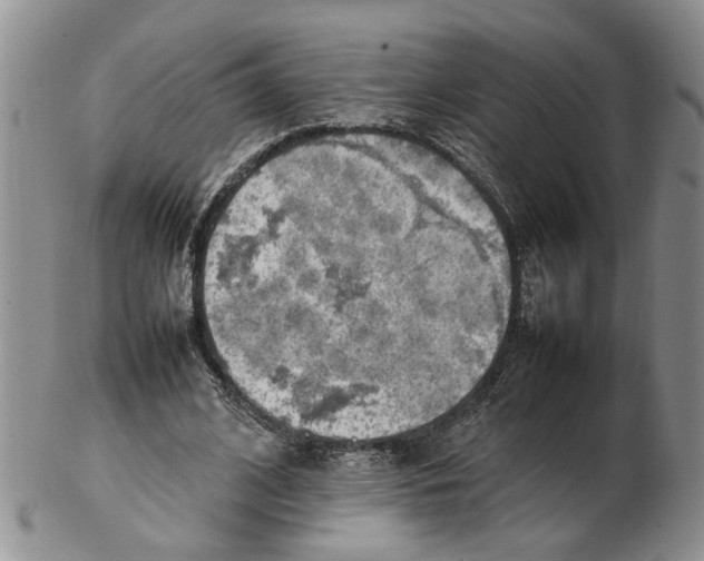 X0000102250584200808221354