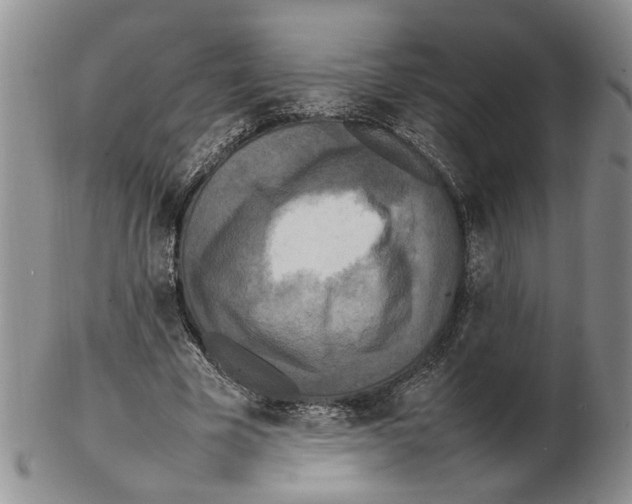 X0000102250585200808221354