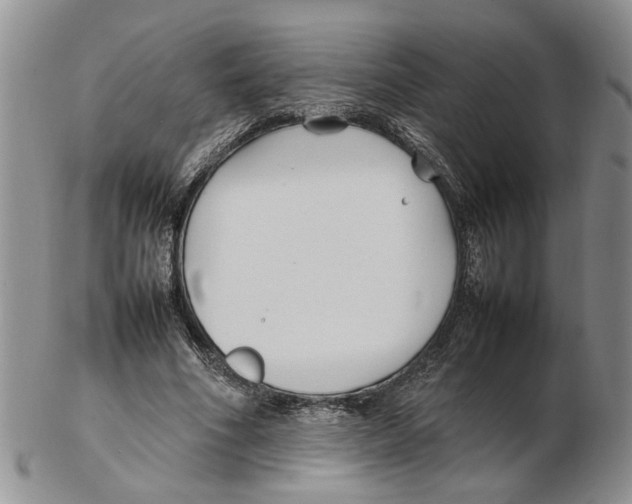 X0000102250586200808221354