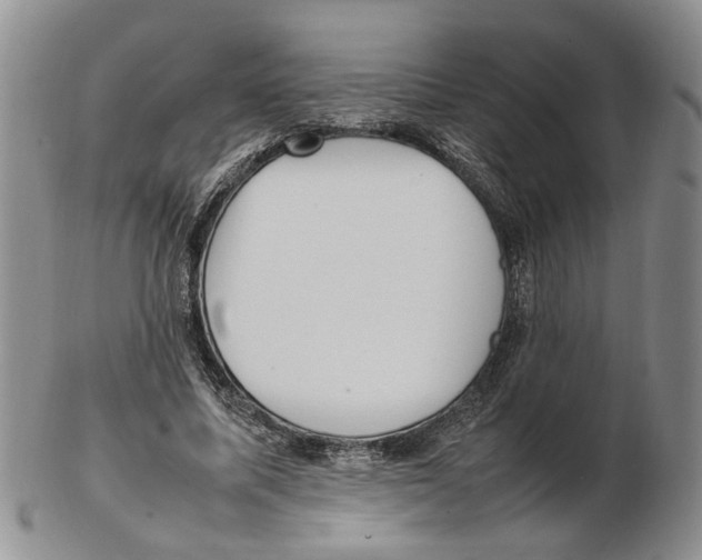X0000102250587200808221354