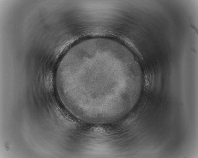 X0000102250588200808221354