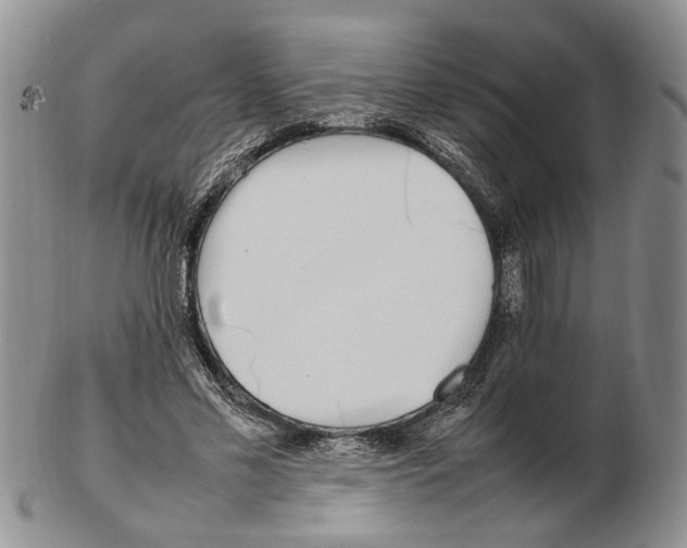 X0000102250589200808221354