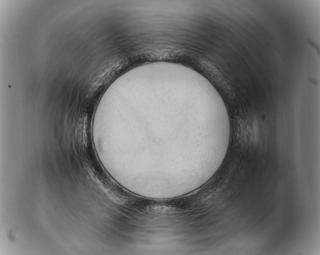 X0000102250590200808221354