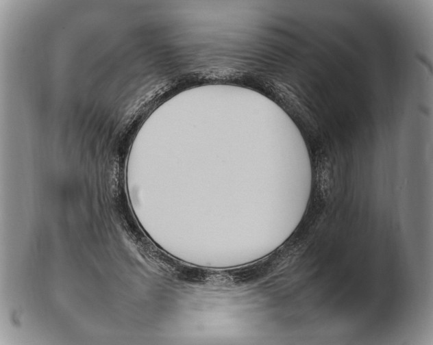 X0000102250591200808221354