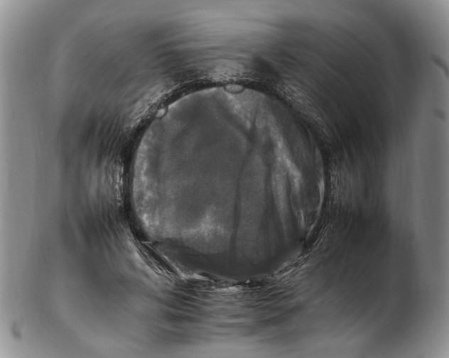 X0000102250592200808221354