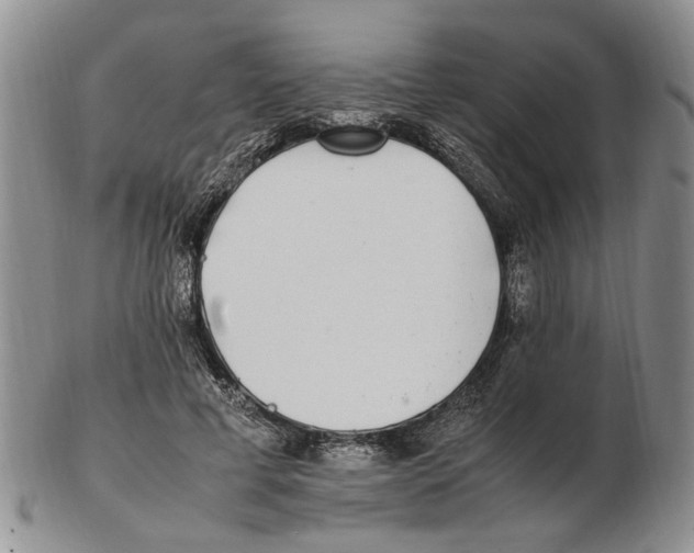 X0000102250593200808221354