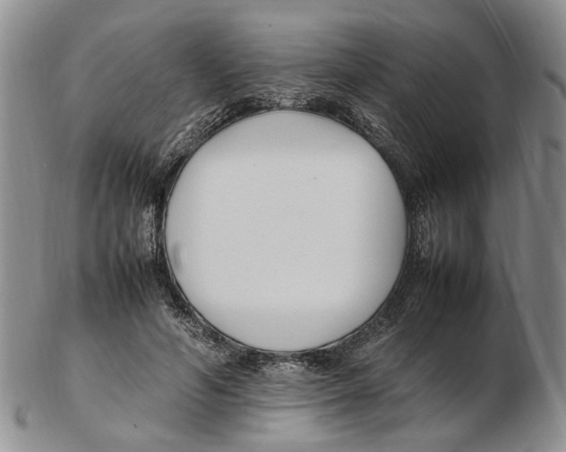 X0000102250594200808221354